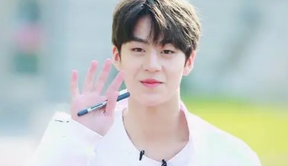 网络配图 网络配图