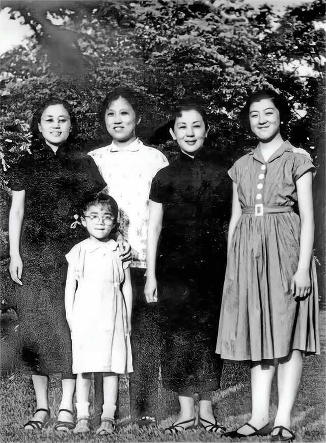 网络图片(侵删) 网络图片(侵删)