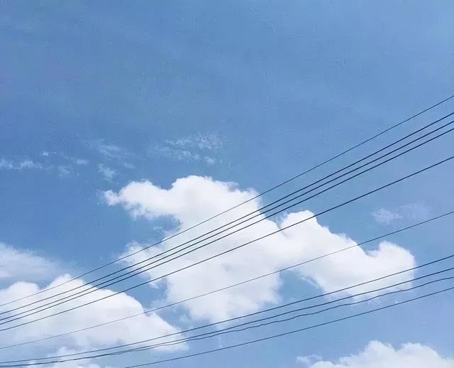 网络图片(侵删) 网络图片(侵删)