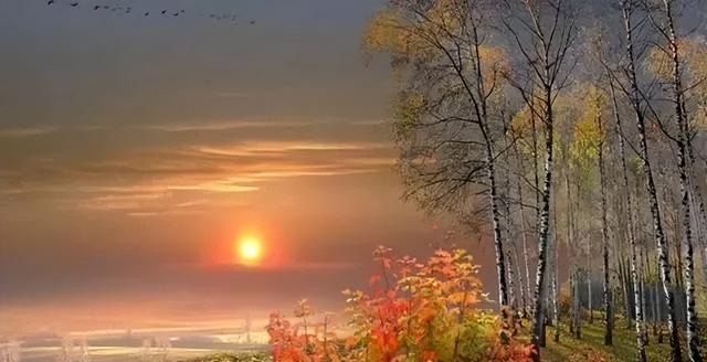 网络图片(侵删) 网络图片(侵删)