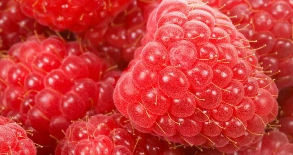 网络图片(侵删) 网络图片(侵删)