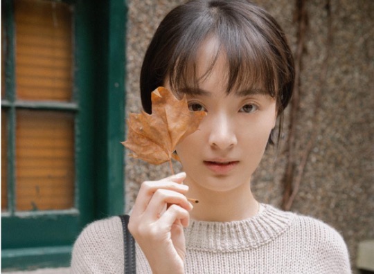 网络图片(侵删) 网络图片(侵删)