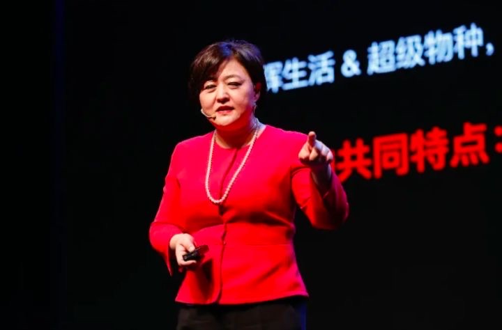 网络配图 网络配图