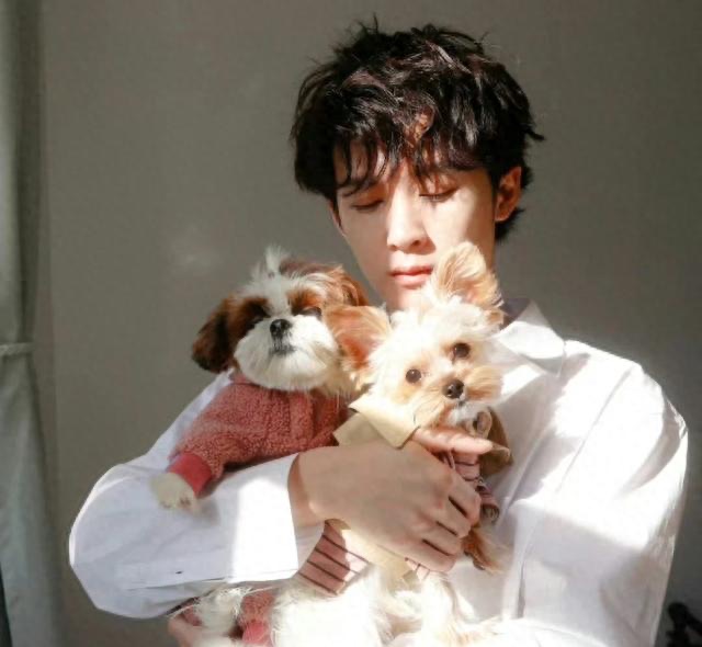 网络配图 网络配图