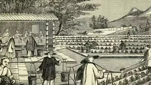 网络配图 网络配图