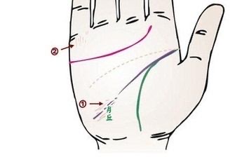 网络图片(侵删) 网络图片(侵删)