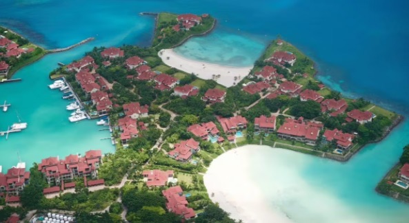 网络图片(侵删) 网络图片(侵删)