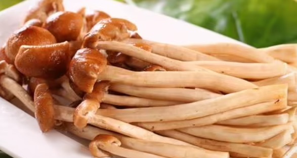 网络图片(侵删) 网络图片(侵删)