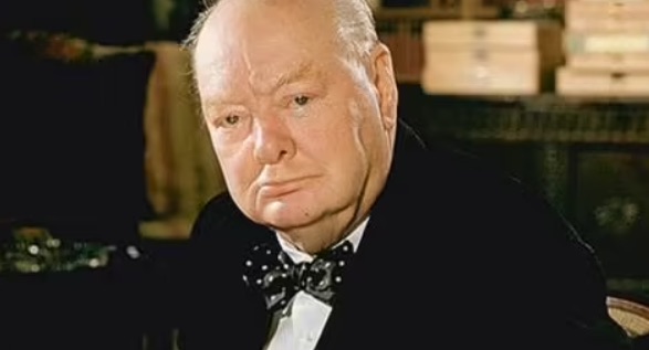 网络图片(侵删) 网络图片(侵删)