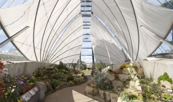 网络图片(侵删) 网络图片(侵删)