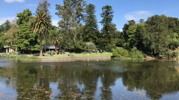 网络图片(侵删) 网络图片(侵删)