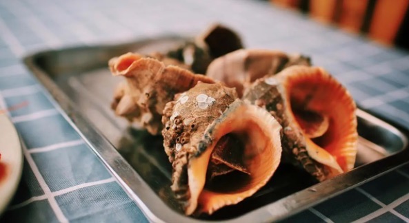 网络图片(侵删) 网络图片(侵删)