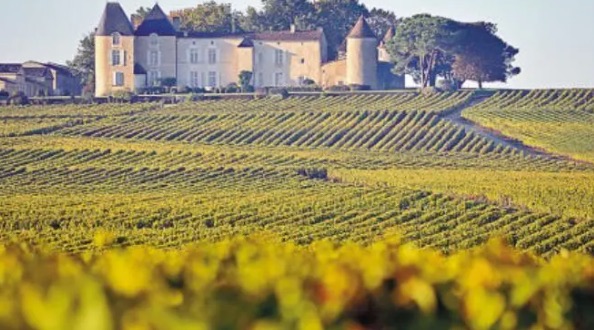 网络配图 网络配图