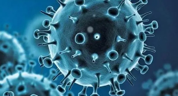 网络配图 网络配图