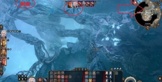 网络配图 网络配图