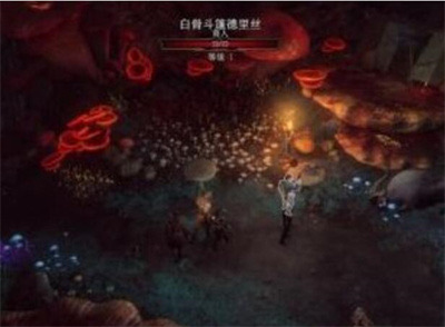 网络配图 网络配图