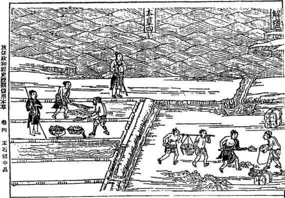 网络配图 网络配图