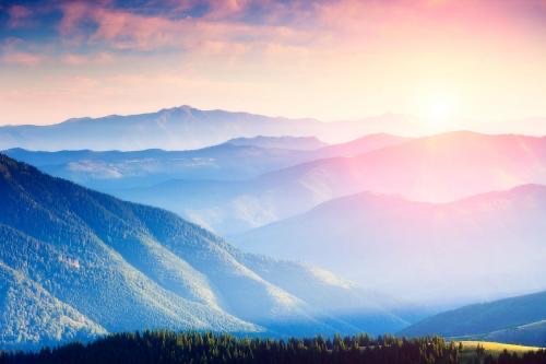 网络图片(侵删) 网络图片(侵删)