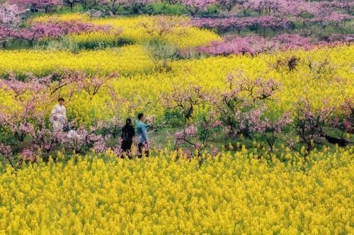 网络图片(侵删) 网络图片(侵删)