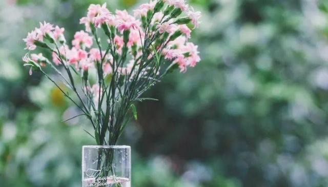 网络配图 网络配图