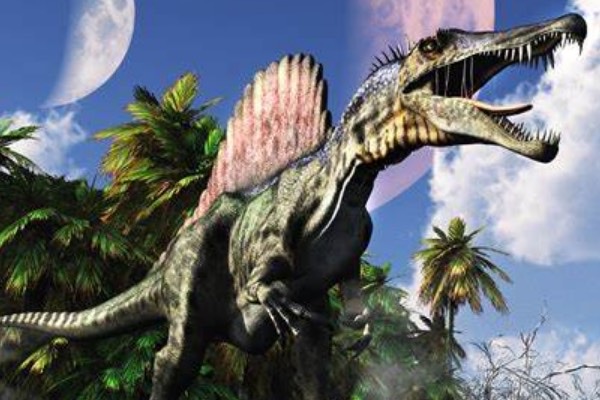 网络图片(侵删) 网络图片(侵删)