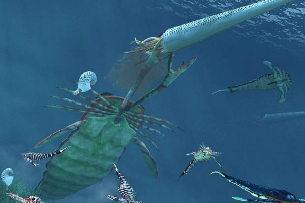 网络图片(侵删) 网络图片(侵删)