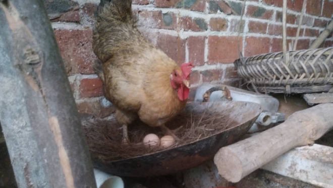 网络图片(侵删) 网络图片(侵删)