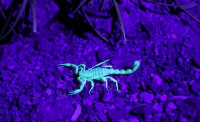 网络配图 网络配图