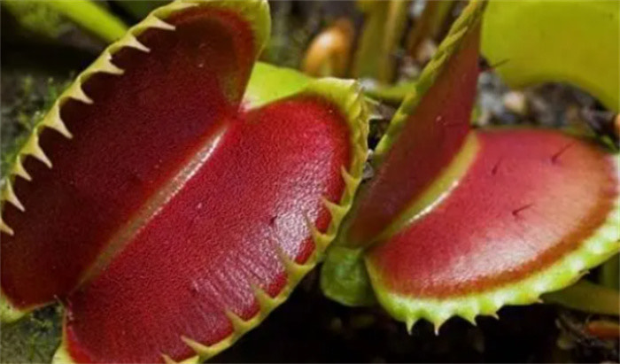 网络配图 网络配图