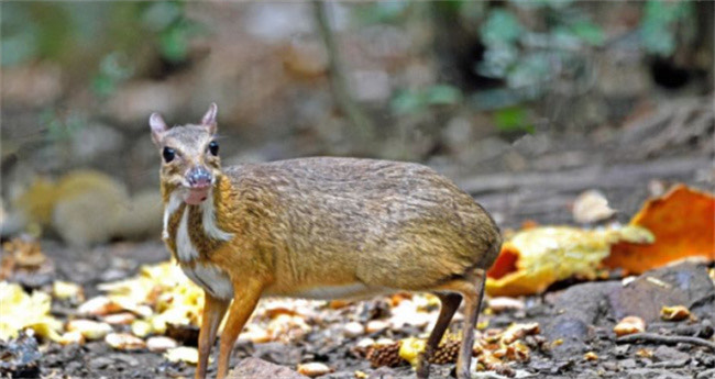 网络配图 网络配图