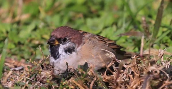 网络配图 网络配图