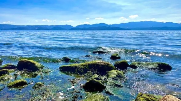 网络图片(侵删) 网络图片(侵删)