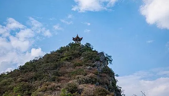 网络图片(侵删) 网络图片(侵删)