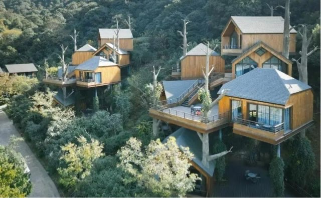 网络图片(侵删) 网络图片(侵删)