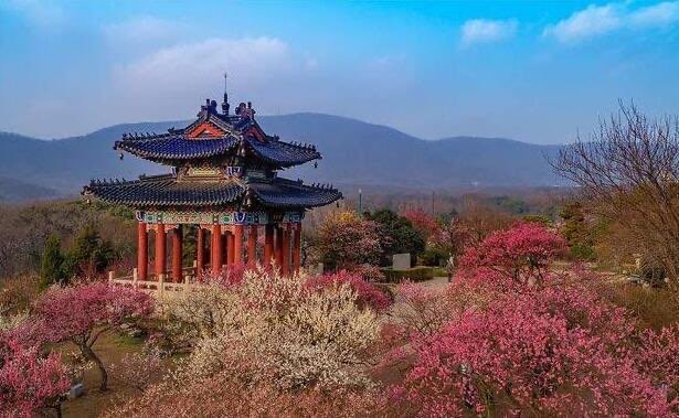 网络图片(侵删) 网络图片(侵删)