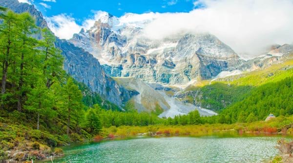 网络图片(侵删) 网络图片(侵删)