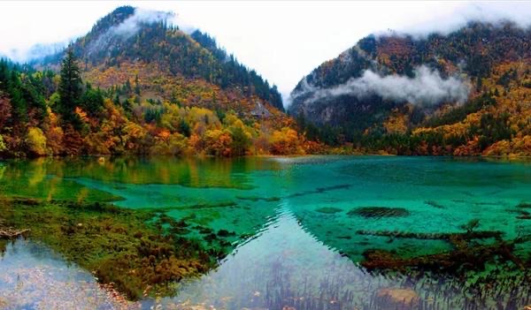 网络图片(侵删) 网络图片(侵删)