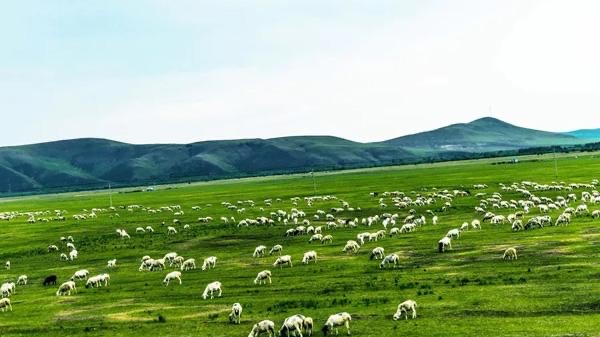 网络图片(侵删) 网络图片(侵删)