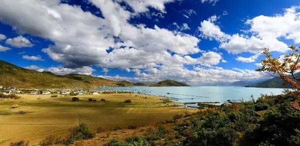 网络图片(侵删) 网络图片(侵删)