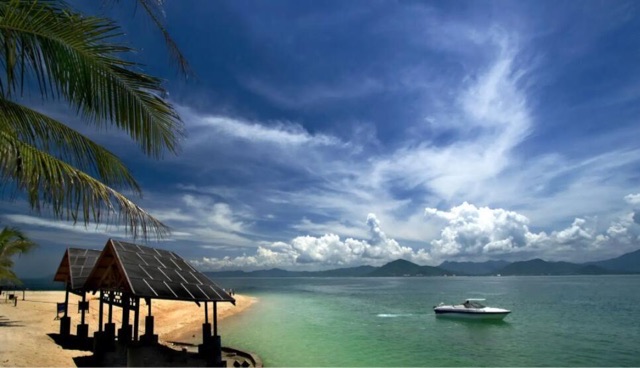 网络图片(侵删) 网络图片(侵删)