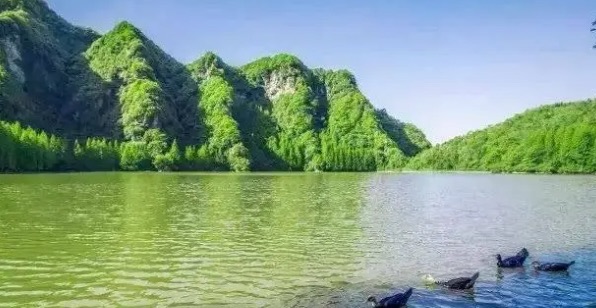 网络图片(侵删) 网络图片(侵删)