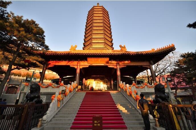 网络图片(侵删) 网络图片(侵删)