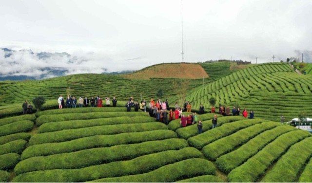 网络图片(侵删) 网络图片(侵删)