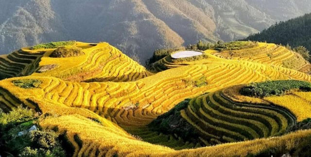 网络图片(侵删) 网络图片(侵删)