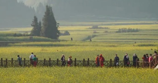 网络图片(侵删) 网络图片(侵删)