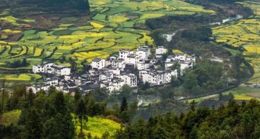 网络图片(侵删) 网络图片(侵删)