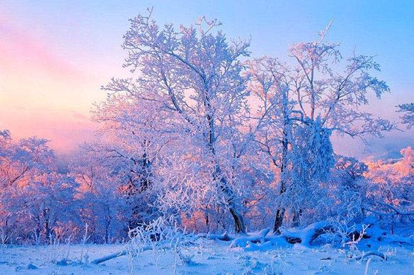 网络图片(侵删) 网络图片(侵删)