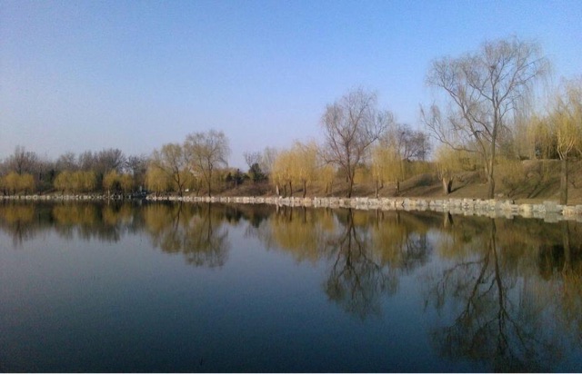 网络图片(侵删) 网络图片(侵删)