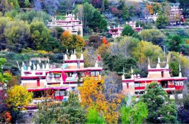 网络图片(侵删) 网络图片(侵删)