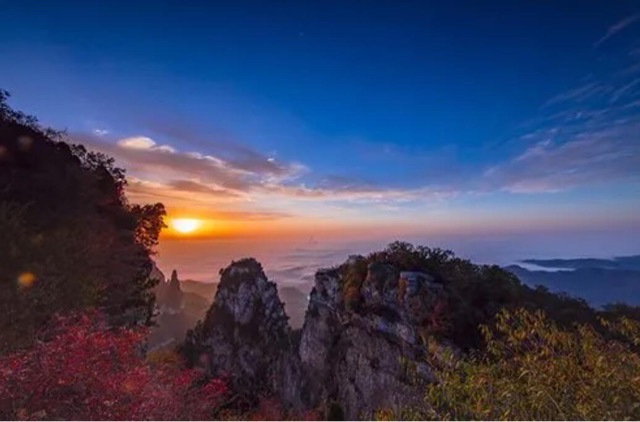 网络图片(侵删) 网络图片(侵删)